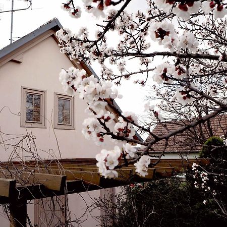 Ubytovani U Krizu Bulhary Buitenkant foto