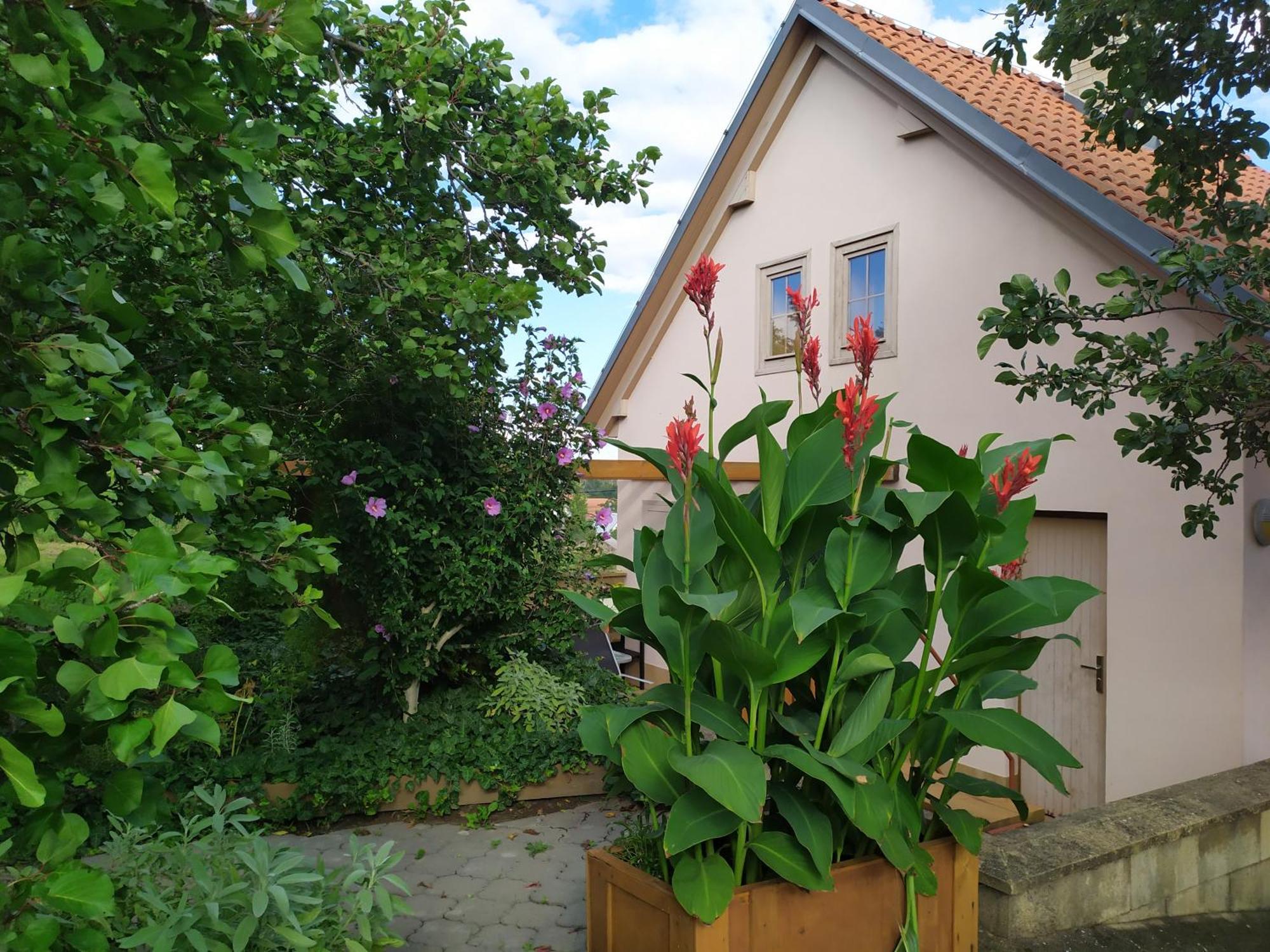 Ubytovani U Krizu Bulhary Buitenkant foto