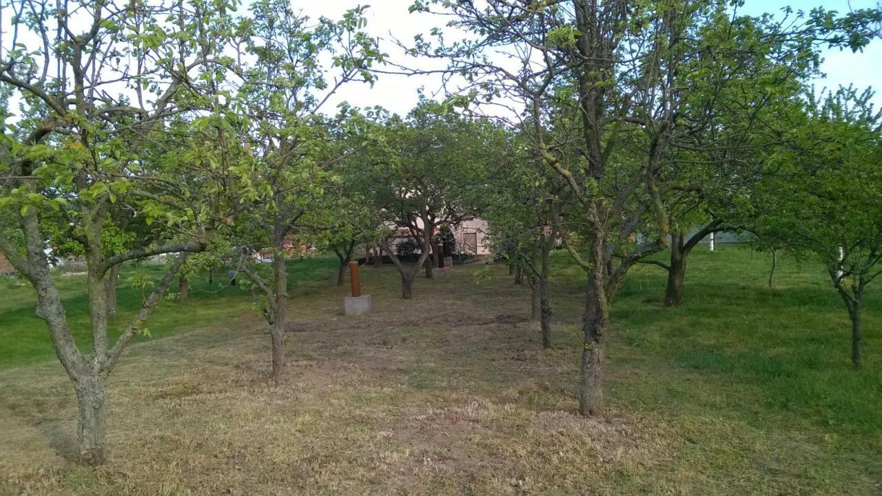 Ubytovani U Krizu Bulhary Buitenkant foto