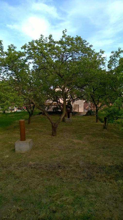Ubytovani U Krizu Bulhary Buitenkant foto